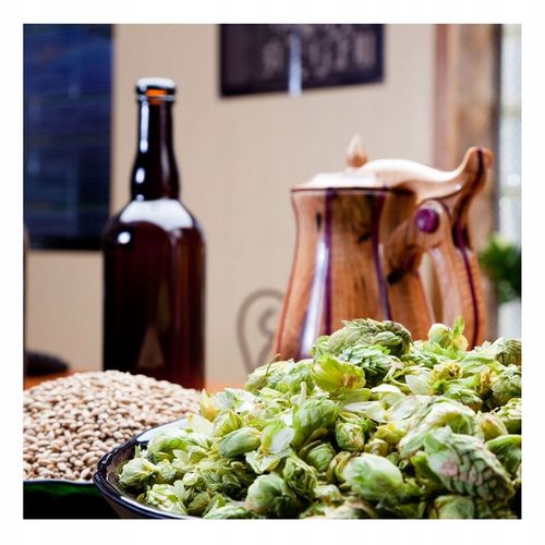 ŚWIEŻE DROŻDŻE PIEKARSKIE 2,5 KG IDEALNE DO PIECZENIA CHLEBA PIZZY na Arena.pl