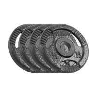 Obciążenie żeliwne zestaw 4x2.5kg otwór 51mm talerz z uchwytami Rebel