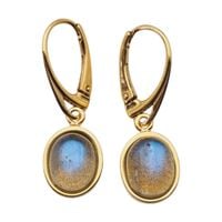 Kolczyki - owalny Labradoryt w srebrze złoconym