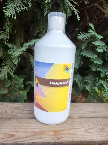 Belgasol 1000 ml Belgica de weerd na Arena.pl