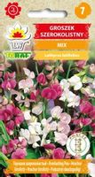 Groszek szerokolistny mix bylina pnąca do 2m  1g