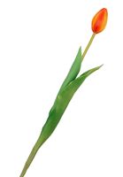 TULIPANY SILIKONOWE jak ŻYWE 40cm TULIPAN POMARAŃCZOWY