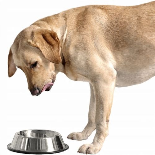 BRIT CARE Hypoallergenic Weight Loss Rabbit 3kg na Arena.pl