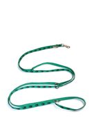 A-174 SMYCZ DLA PSA ŁAPKI 15mm/330cm Kolor - łapki zielony