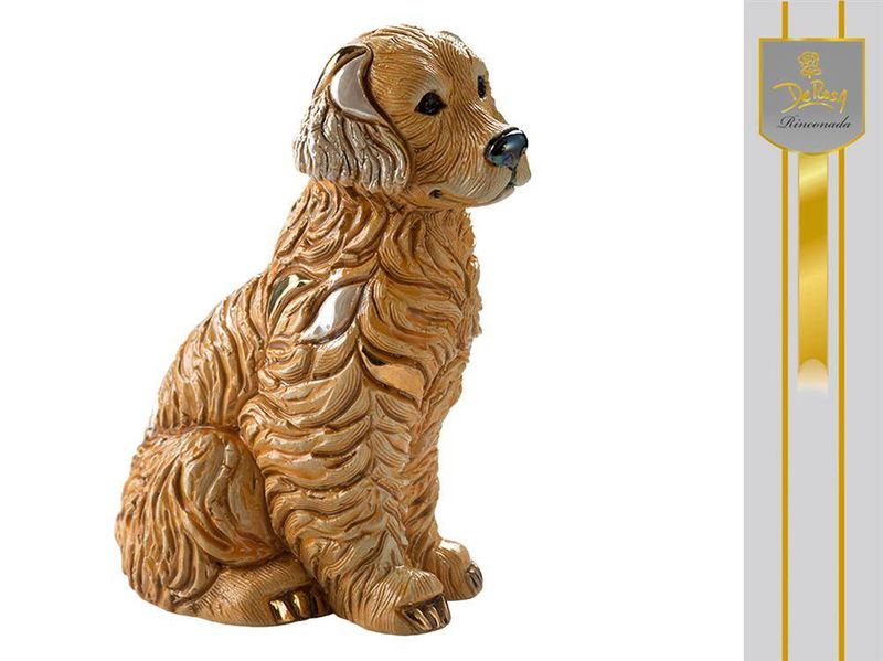 Golden Retriver zdjęcie 1