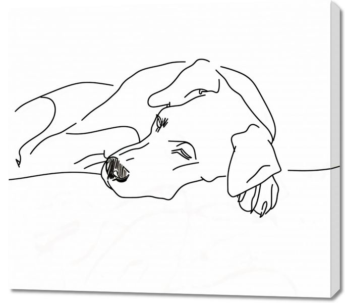 Obraz 100x90cm Wypoczynek Psiaka zdjęcie 1