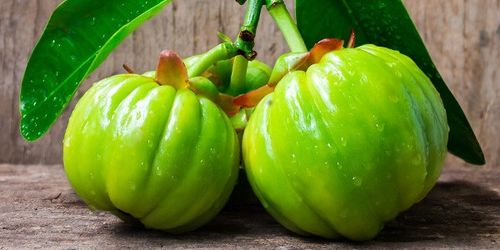 3 x GRINDAY SHAPE UP | WSPARCIE ODCHUDZANIA | HAMOWANIE APETYTU | ROŚLINNY na Arena.pl