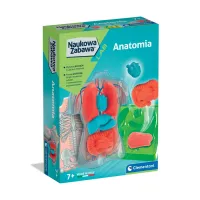 ND01_254658 CLE Naukowa zabawa Anatomia 50252