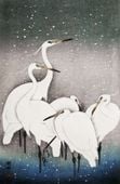 Plakat 56,6x86,4cm Group of Egrets, Koson Japoński Vintage do Salonu