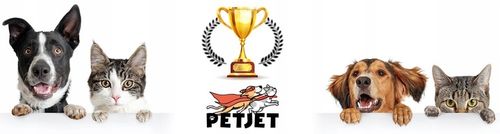 DUŻY ZESTAW ZABAWEK ZABAWKI DLA KOTA KOTÓW TUNEL WĘDKA PIŁKI MYSZ LEGOWISKO na Arena.pl