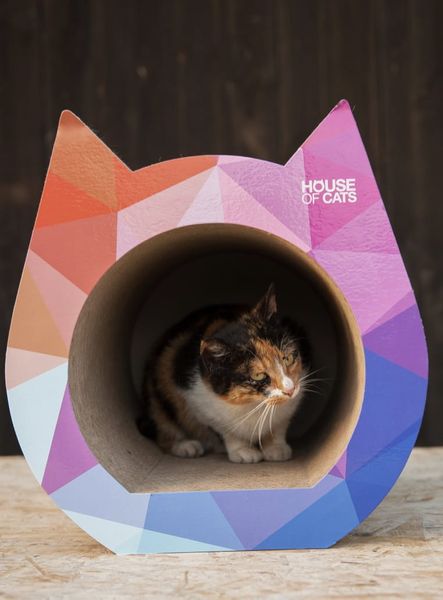 Drapak Cat Drapak dla kota Cat Triangle zdjęcie 5