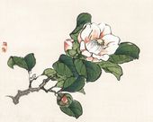 Plakat 50x40cm Camelia, Kōno Bairei Japoński Vintage do Salonu