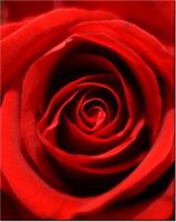 product-compare-58656519