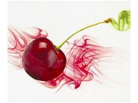 OBRAZ DRUK SOCZYSTA WIŚNIA