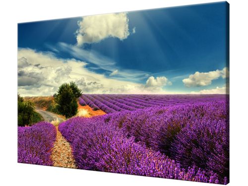 Obraz drukowany na płótnie canvas 120x80 + GRATIS na Arena.pl