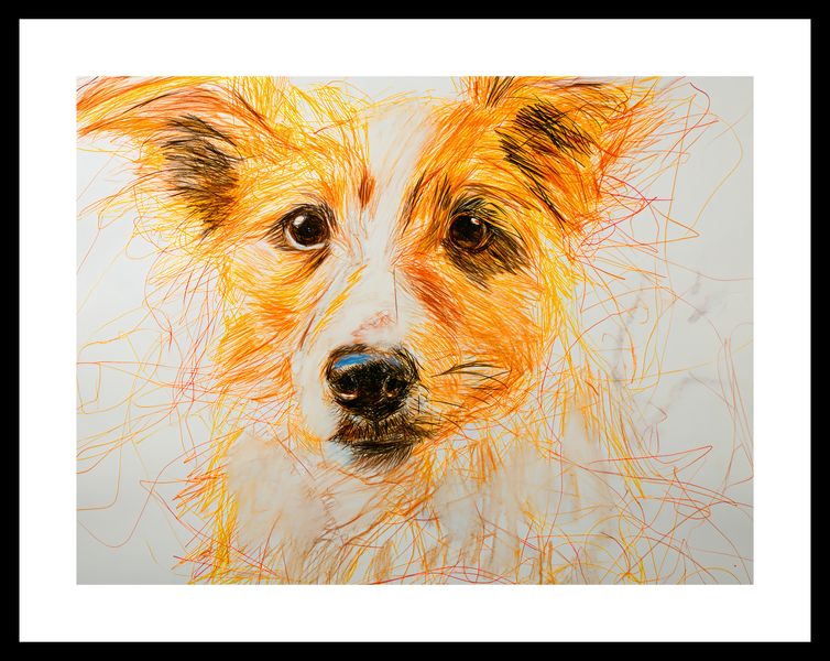 Plakat 40x30cm Uroczy Gość zdjęcie 3