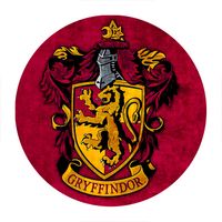 Przypinka Harry Potter