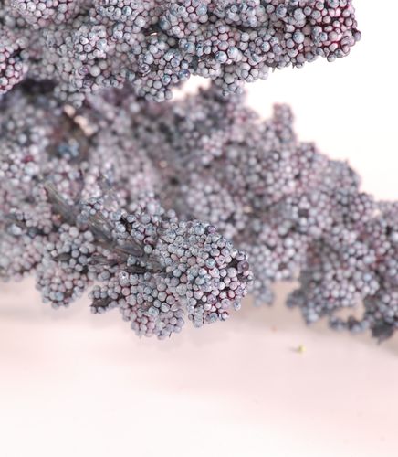 Amarantus x3 niebieski na Arena.pl