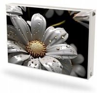 Mata magnetyczna magnes na grzejnik na wymiar CZARNO BIAŁA STOKROTKA 60x100