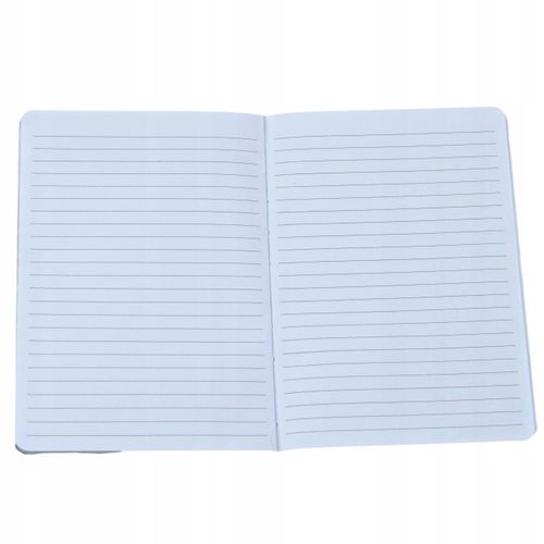 PAMIĘTNIK PLUSZOWY ZESZYT NOTATNIK Z KŁÓDKĄ A5 MIŚ KOALA SEKRETNIK DZIECI na Arena.pl