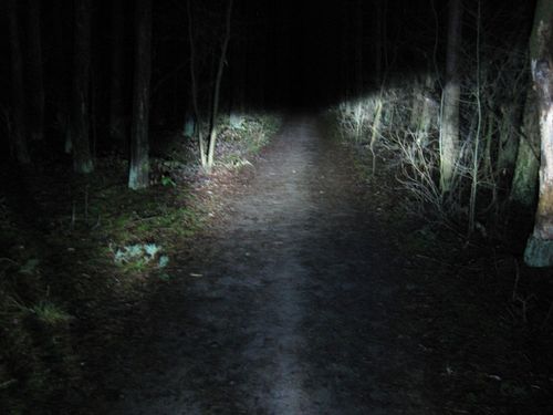 Żarówka LED BA20D 35W 12V Junak Zipp Romet skuter na Arena.pl