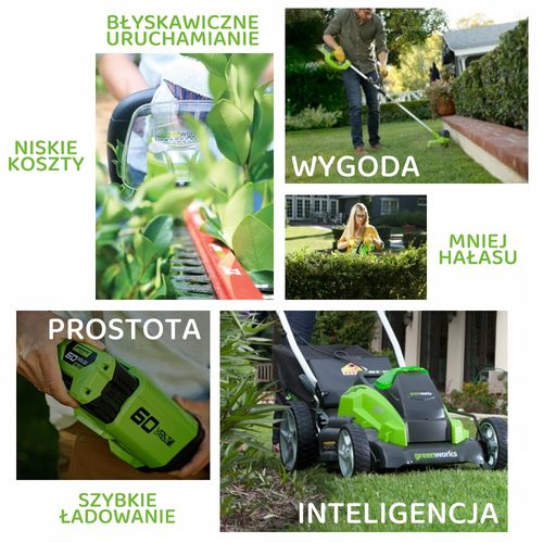 Piła łańcuchowa Greenworks na Arena.pl