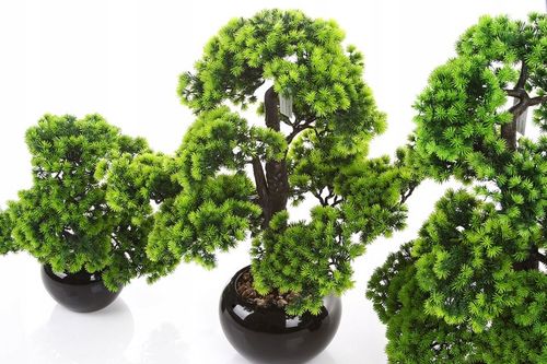 sztuczne drzewko BONSAI LARCH 48x35 modrzew w ceramicznej czarnej doniczce na Arena.pl