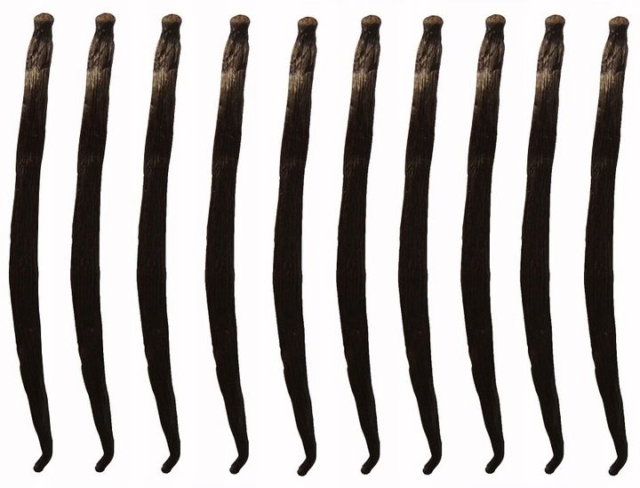 WANILIA LASKI 10 SZT 10-14 cm Laska Wanilii JAKOŚĆ 1 ŚWIEŻE, WILGOTNE LASKI zdjęcie 1