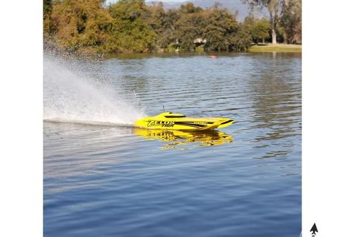 Zelos 36 BL Twin Catamaran RTR na Arena.pl