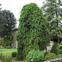 product-compare-57884150