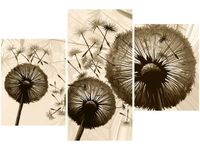 product-compare-58699962