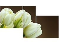 product-compare-58655381