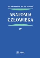Anatomia człowieka Tom 4 Bochenek, Reicher