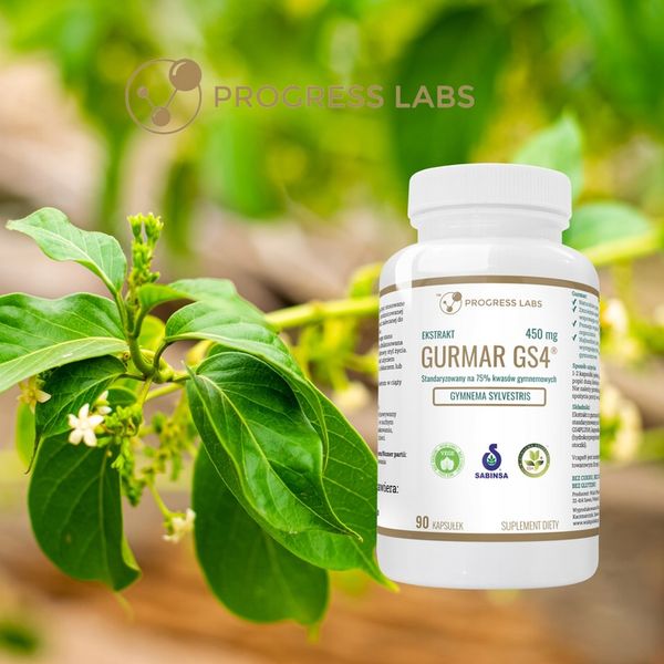 Gurmar GS4 Ekstrakt 75% ZMNIEJSZA APETYT 90kap zdjęcie 6