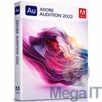 Audition 2022 - Licencja Wieczysta (LifeTime) - Windows - Użytkownik Indywidualny - BOX (ESD)