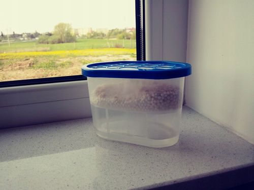 Pochłaniacz wilgoci, osuszacz stojący , zestaw 7 sztuk na Arena.pl