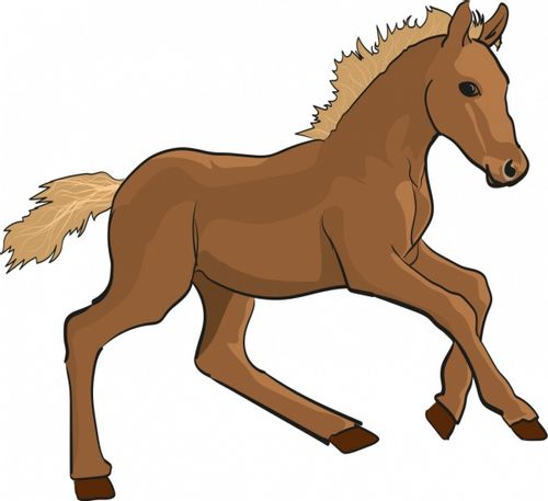 REBEL GRA BRAINBOX ABC na Arena.pl