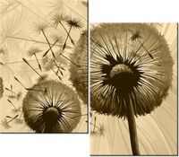 product-compare-58667205