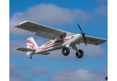 Timber PNP na Arena.pl