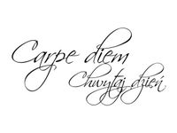 60X40CM CARPE DIEM CHWYTAJ DZIEŃ OBRAZ DRUK