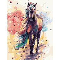Malowanie Po Numerach Obraz 40X50Cm Koń