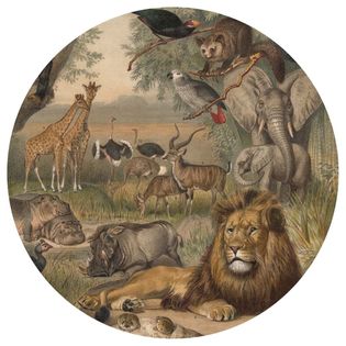 WallArt Okrągła fototapeta Animals of Africa, 190 cm