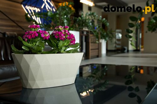 DONICZKA DELTA 300 A3 na Arena.pl