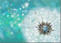 60CM 50CM OBRAZ ŚCIENNY PUSZYSTY DMUCHAWIEC DRUK PŁÓTNO