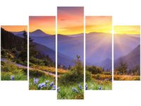 product-compare-58696533