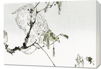 Obraz 70x50cm White Cockatoo, Seitei Japoński Vintage