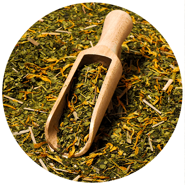 Verde Mate Green Sarsaparilla 0,5 kg zdjęcie 4