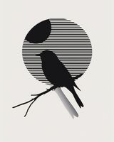 Plakat 40x50cm Kontrast Smukłości