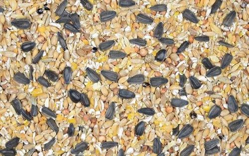 Karma NIOSKA SYPKA Kokoszka Babuni Kampol drób na Arena.pl