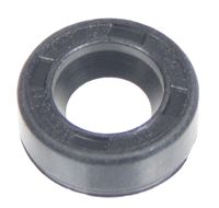 Uszczelniacz Cedrus silnik Y145V 485195